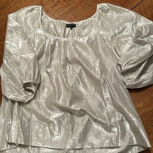 Metallic blouse